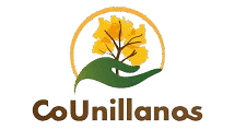counillanos.com.co